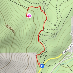 thumbnail for Forrest Allen Overlook