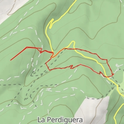 thumbnail for Alerce del Vivero de Mojonavalle - Senda del Arroyo del Sestil del Maíllo y de la Ladera de Mojonavalle