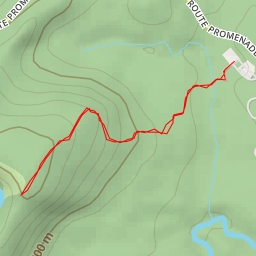 thumbnail for Viewpoint