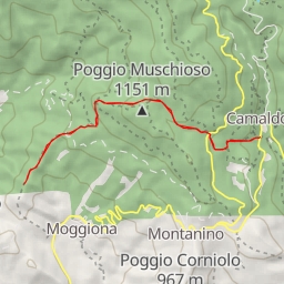 thumbnail for Poggio Tesori