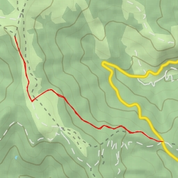 thumbnail for Artsalgo Gaina