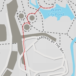 thumbnail for Water Lily Pond