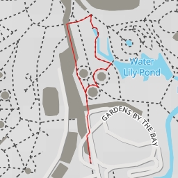 thumbnail for Victoria Lily Pond - Gardens by the Bay - Singapore