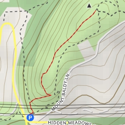 thumbnail for Mount Baldy