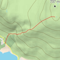 thumbnail for Red Gill