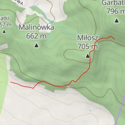 thumbnail for Różana