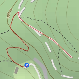 thumbnail for Waldläuferweg