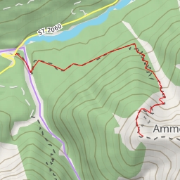 thumbnail for Schwarzenköpfel