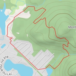 thumbnail for C-Condor - C-Condor