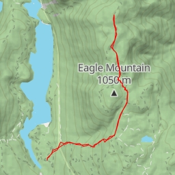 thumbnail for Tangled Summit