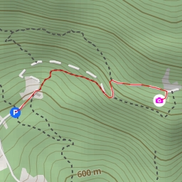 thumbnail for Troi del Gatoreid