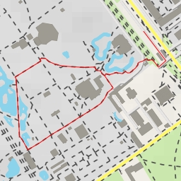 thumbnail for Pingwiny przylądkowe - Ratuszowa - Warszawa