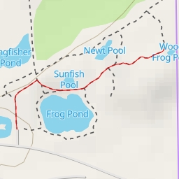 thumbnail for Wood Frog Pool