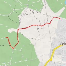 thumbnail for Camino de la Parra