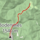 thumbnail for Bodenwies