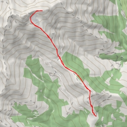 thumbnail for Sasso Camoscé