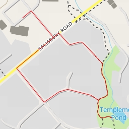 thumbnail for Templemore Pond