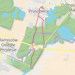 thumbnail for Dwór szachulcowy - Parkowa