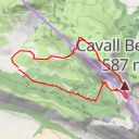 thumbnail for Cavall Bernat