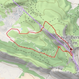 thumbnail for Cavall Bernat