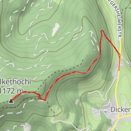 thumbnail for Wilkethöchi