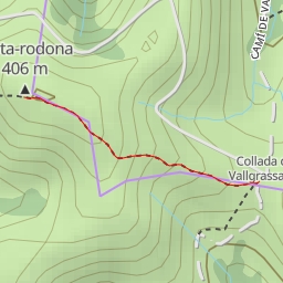 thumbnail for Mata-rodona