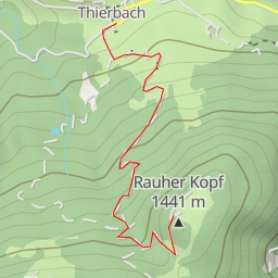 thumbnail for Rauher Kopf