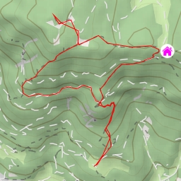 thumbnail for Saurüssel