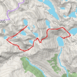 thumbnail for Cogomella