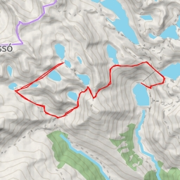 thumbnail for Cogomella