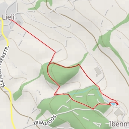 thumbnail for Ibenmoos