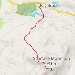 thumbnail for Scarface Mountain