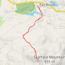 thumbnail for Scarface Mountain Trail