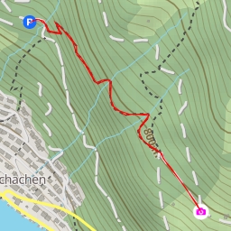 thumbnail for Nussbaum