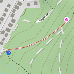 thumbnail for Saumweg