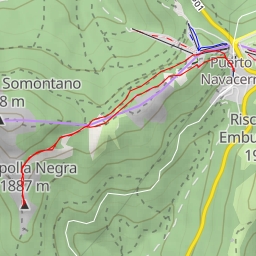 thumbnail for Pimpolla Negra