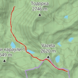 thumbnail for Голям Типик