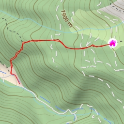 thumbnail for Stumpfalm