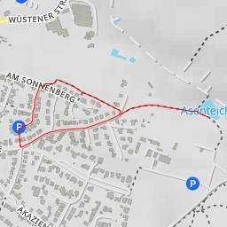 thumbnail for Asenteiche