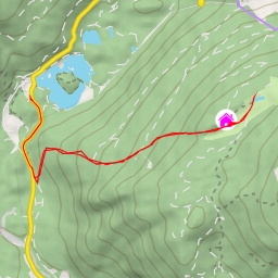 thumbnail for 25 - 25