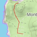 thumbnail for Via Gorgonia