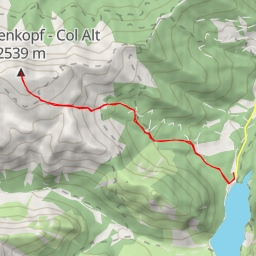 thumbnail for Hochalpenkopf - Col Alt