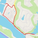 thumbnail for Observação de aves