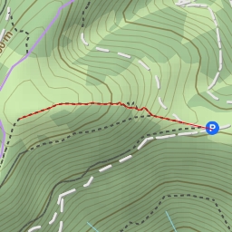 thumbnail for Brunntal