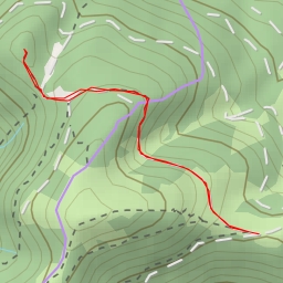 thumbnail for Brunntal