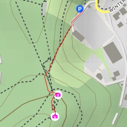 thumbnail for Löchelfels