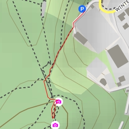 thumbnail for Löchelfels