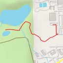 thumbnail for Loon Lane - Loon Lane