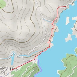 thumbnail for 城門白千層 Shing Mun Melaleuca leucadendron