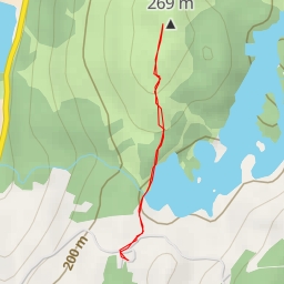 thumbnail for Tom Heights